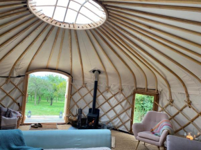 Blossom Orchard - Luxury Yurts